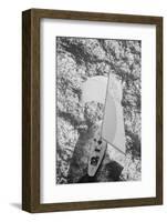 Intrepid Sailing through the Water-null-Framed Photographic Print