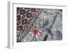 Intricate Batik Wax Resist Floral Pattern on Traditional Javanese Sarong-Annie Owen-Framed Photographic Print