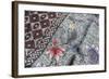 Intricate Batik Wax Resist Floral Pattern on Traditional Javanese Sarong-Annie Owen-Framed Photographic Print