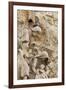 Intricate Carvings on the Nativity Facade of the Sagrada Familia in the Heart of Barcelona, Spain-Paul Dymond-Framed Photographic Print