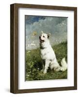 Intrigue-Julius Adam-Framed Giclee Print