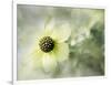 Intrigued-Janet Slater-Framed Photographic Print