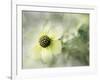 Intrigued-Janet Slater-Framed Photographic Print