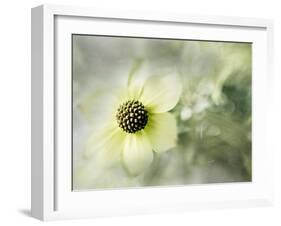 Intrigued-Janet Slater-Framed Photographic Print