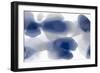 Intrinsic in Indigo-Hannah Carlson-Framed Art Print