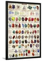 Introduction to Minerals Educational Science Chart Poster-null-Lamina Framed Poster