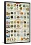 Introduction to Rocks Geology Educational Science Chart Poster-null-Framed Poster