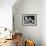 Intrusion-Gordon Semmens-Framed Giclee Print displayed on a wall