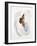 Intuition IX-Rikki Drotar-Framed Giclee Print