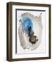 Intuition V-Rikki Drotar-Framed Giclee Print