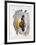 Intuition VI-Rikki Drotar-Framed Giclee Print