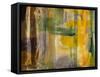 Intuition VII-Sisa Jasper-Framed Stretched Canvas