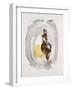 Intuition VIII-Rikki Drotar-Framed Giclee Print