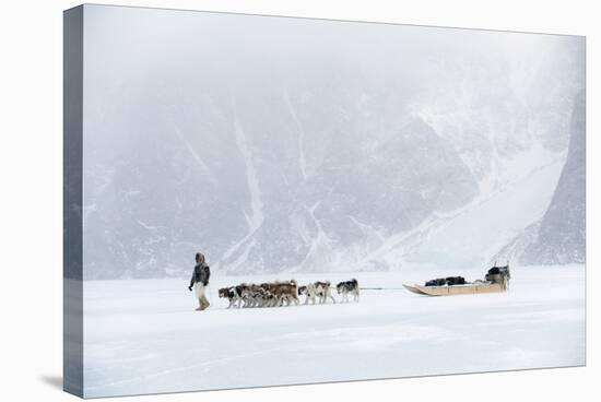 Inuit Hunter Walking His Dog Team on the Sea Ice in a Snow Storm, Greenland, Denmark, Polar Regions-Louise Murray-Stretched Canvas