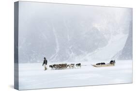 Inuit Hunter Walking His Dog Team on the Sea Ice in a Snow Storm, Greenland, Denmark, Polar Regions-Louise Murray-Stretched Canvas