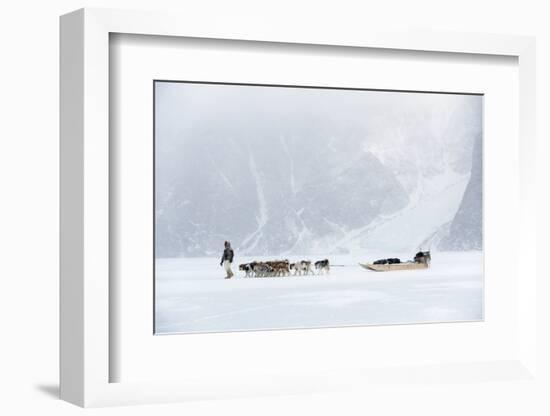 Inuit Hunter Walking His Dog Team on the Sea Ice in a Snow Storm, Greenland, Denmark, Polar Regions-Louise Murray-Framed Photographic Print