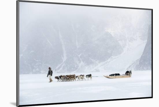 Inuit Hunter Walking His Dog Team on the Sea Ice in a Snow Storm, Greenland, Denmark, Polar Regions-Louise Murray-Mounted Photographic Print