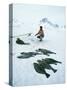 Inuit Man Fishing for Halibut, Greenland, Polar Regions-Jack Jackson-Stretched Canvas