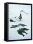 Inuit Man Fishing for Halibut, Greenland, Polar Regions-Jack Jackson-Framed Stretched Canvas