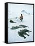 Inuit Man Fishing for Halibut, Greenland, Polar Regions-Jack Jackson-Framed Stretched Canvas