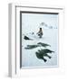 Inuit Man Fishing for Halibut, Greenland, Polar Regions-Jack Jackson-Framed Photographic Print