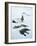 Inuit Man Fishing for Halibut, Greenland, Polar Regions-Jack Jackson-Framed Photographic Print