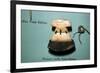 Inuit, Polar Eskimo or Inughuit, Woman's knife in Bone and steel-Unknown-Framed Giclee Print