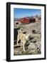 Inuit Village and Sled Dog House-Michael Nolan-Framed Photographic Print