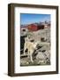 Inuit Village and Sled Dog House-Michael Nolan-Framed Photographic Print