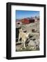 Inuit Village and Sled Dog House-Michael Nolan-Framed Photographic Print