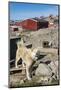 Inuit Village and Sled Dog House-Michael Nolan-Mounted Photographic Print