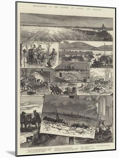 Inundations of the Danube in Austria and Hungary-Johann Nepomuk Schonberg-Mounted Giclee Print