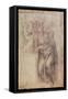 Inv.1895-9-15-516.Recto-Michelangelo Buonarroti-Framed Stretched Canvas