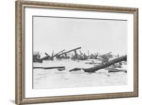 Invaders on Omaha Beach-null-Framed Photographic Print