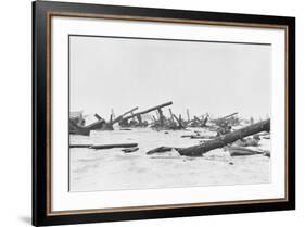 Invaders on Omaha Beach-null-Framed Photographic Print