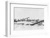 Invaders on Omaha Beach-null-Framed Photographic Print