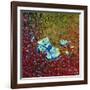 Invasion of Ants, 1996-Tamas Galambos-Framed Giclee Print