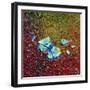 Invasion of Ants, 1996-Tamas Galambos-Framed Giclee Print