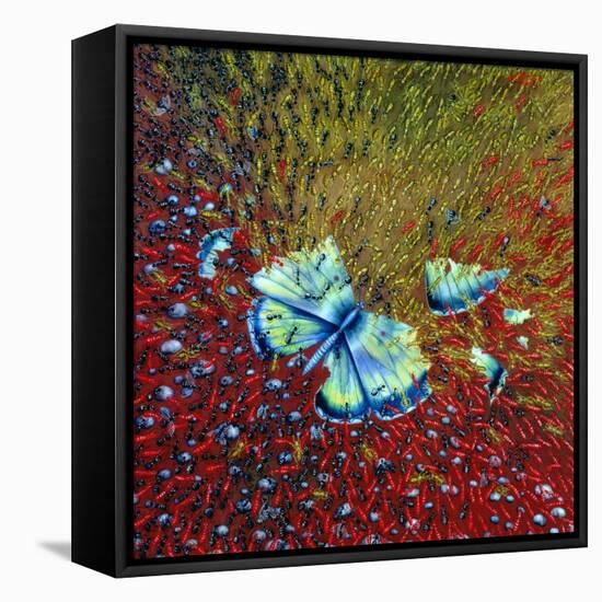 Invasion of Ants, 1996-Tamas Galambos-Framed Stretched Canvas