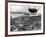 Invasion of Normandy-null-Framed Photographic Print
