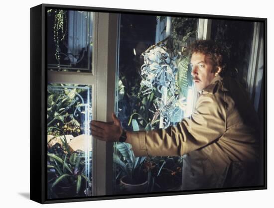 Invasion Of The Body Snatchers (photo)-null-Framed Stretched Canvas