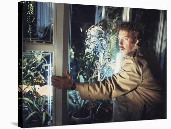 Invasion Of The Body Snatchers (photo)-null-Stretched Canvas