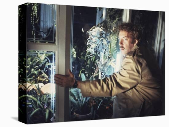 Invasion Of The Body Snatchers (photo)-null-Stretched Canvas