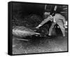 Invasion of the Body Snatchers-null-Framed Stretched Canvas