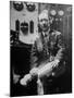 Inventor Guglielmo Marconi Wearing Headphones in Development of Short Wave Wireless Communication-null-Mounted Premium Photographic Print
