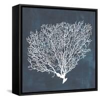 Inverse Sea Fan II-Grace Popp-Framed Stretched Canvas