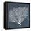 Inverse Sea Fan II-Grace Popp-Framed Stretched Canvas