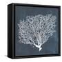 Inverse Sea Fan II-Grace Popp-Framed Stretched Canvas