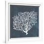 Inverse Sea Fan II-Grace Popp-Framed Art Print