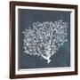 Inverse Sea Fan II-Grace Popp-Framed Art Print